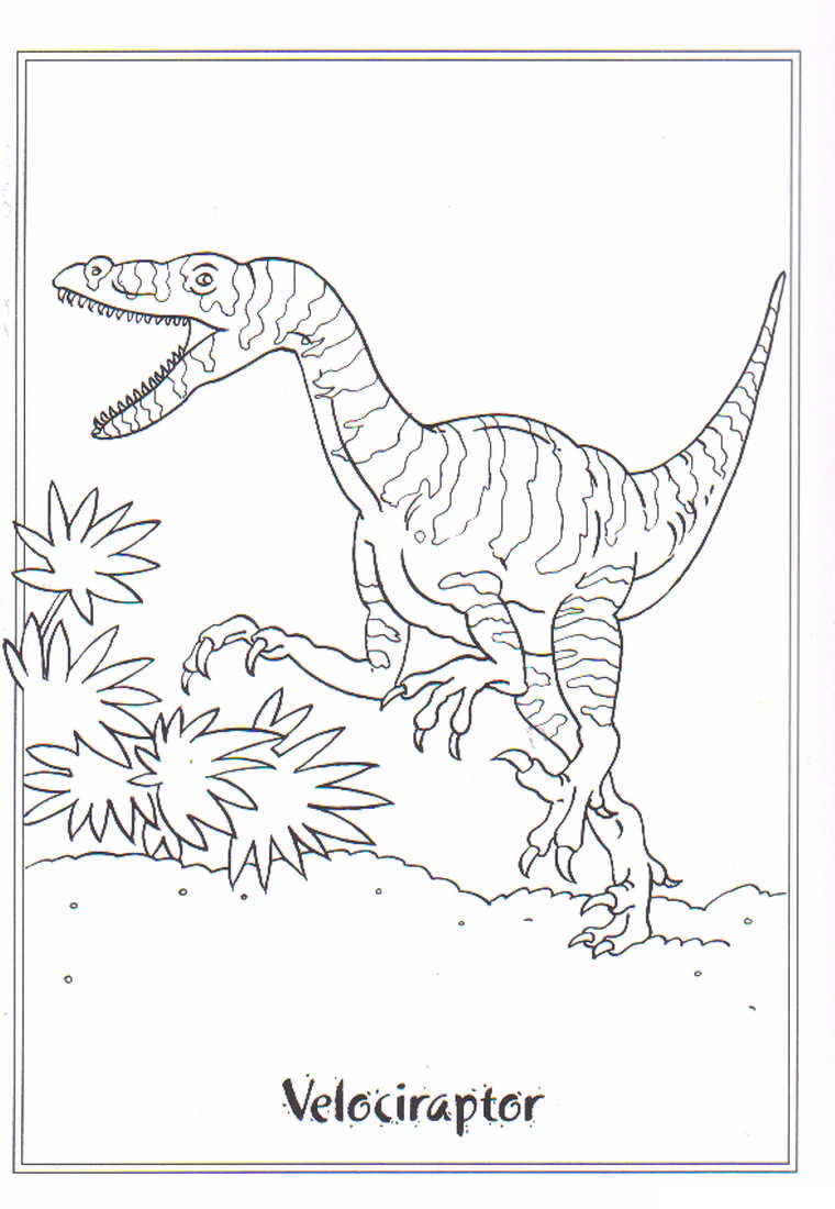 Velociraptor V Rityskuva Lataa Tulosta Tai V Rit Verkossa Ilmaiseksi