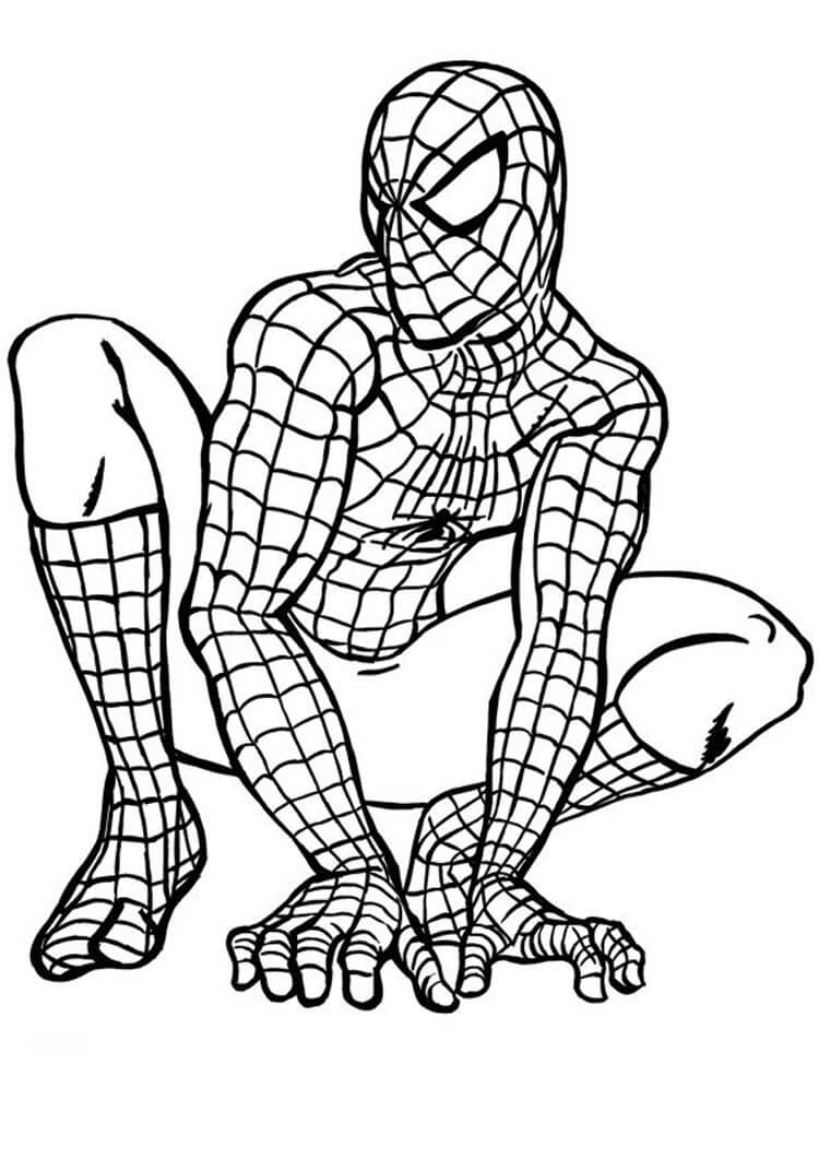 Nice Spiderman Värityskuva