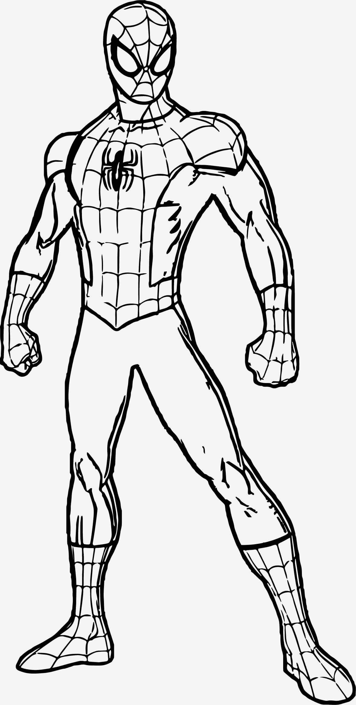 Normal Spiderman Värityskuva