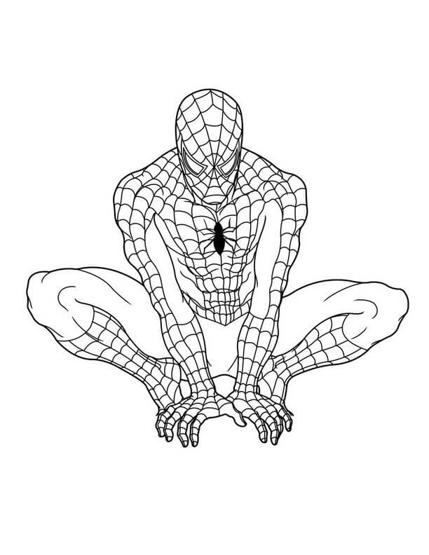 Spiderman free Graphics Värityskuva