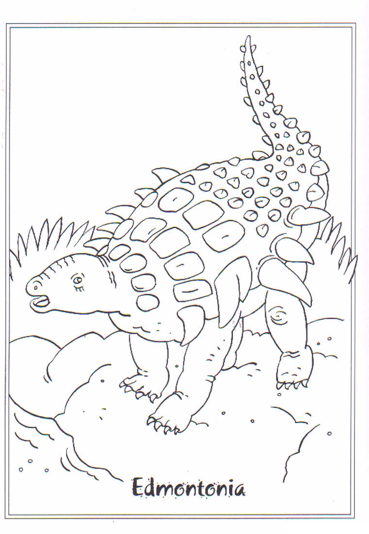 Edmontonia Värityskuva