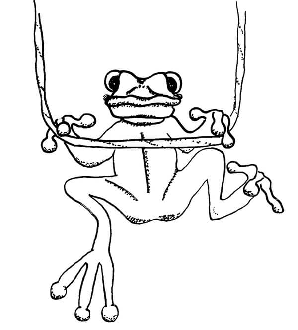 Frog Climbing Värityskuva