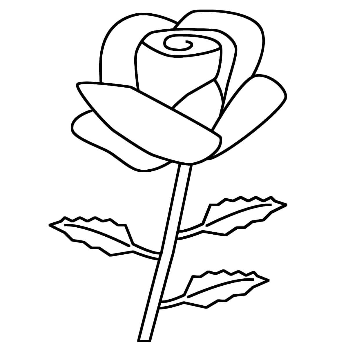 Helppo Rose Värityskuva
