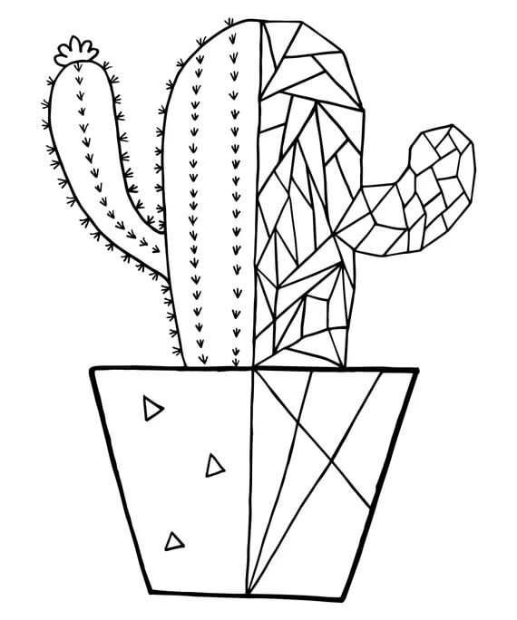 Hieno kaktus Värityskuva