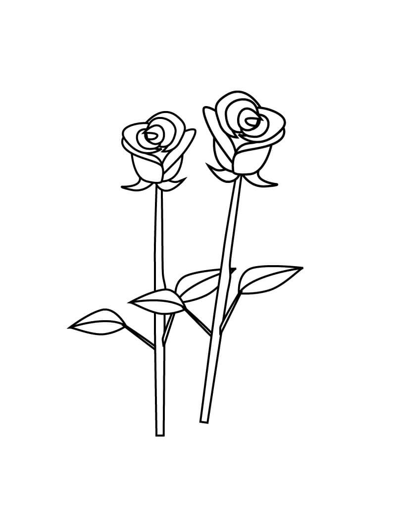 Kaksi ruusun oksaa Värityskuva