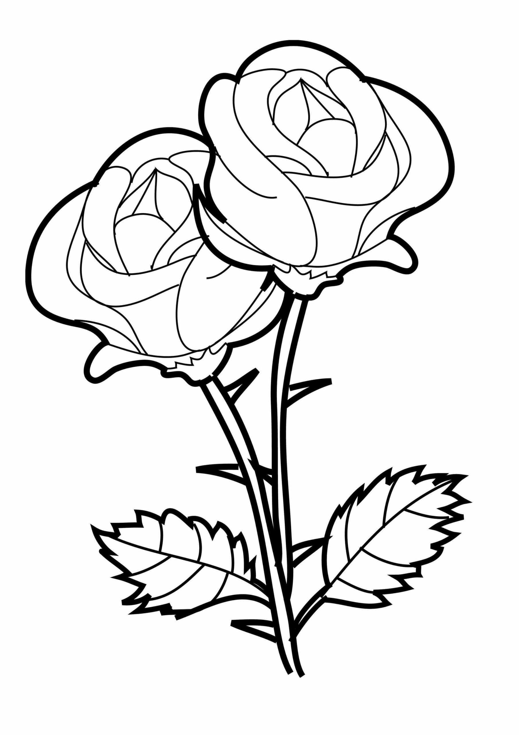 Ruusu coloring page