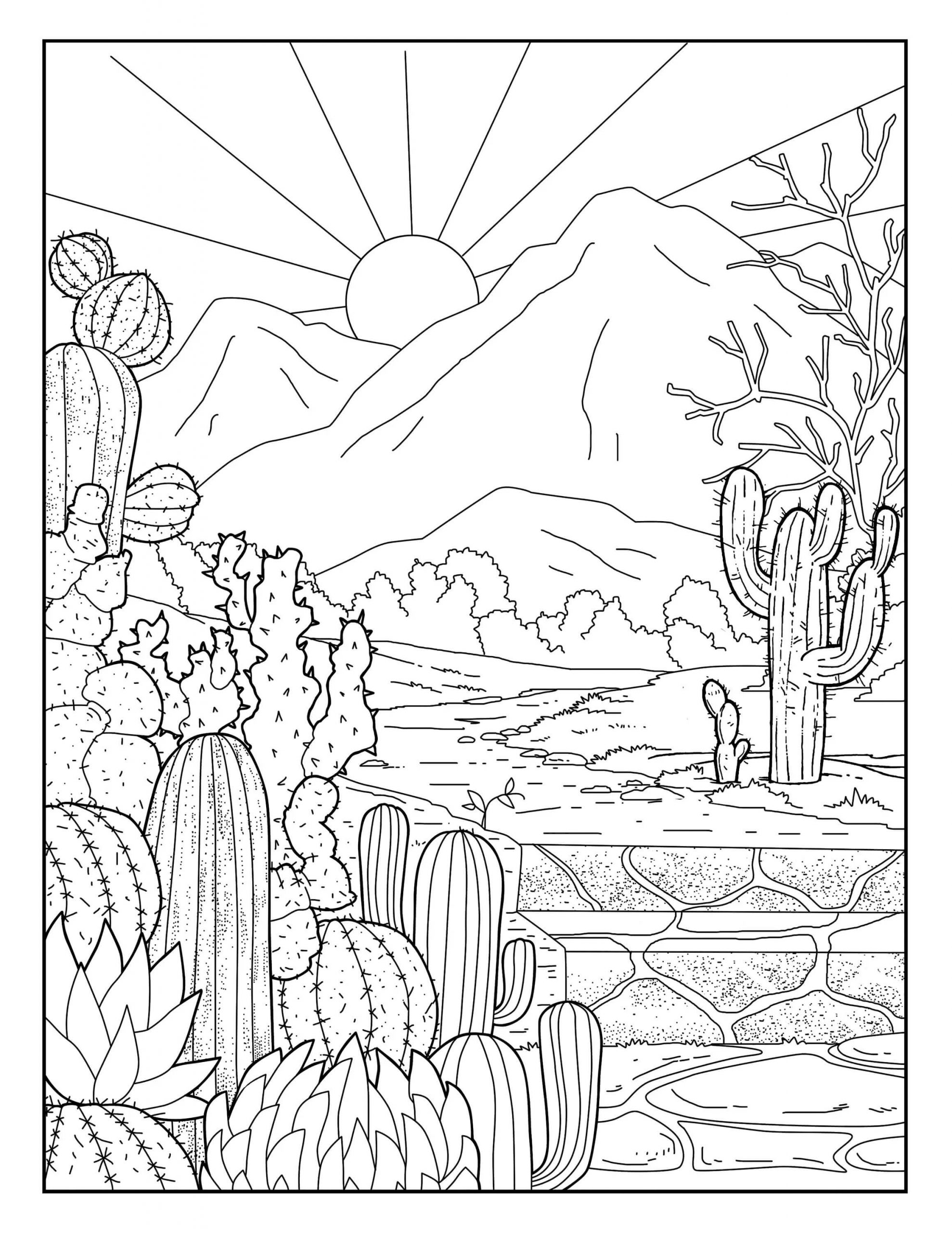 Kaktuspuutarha ja aurinko Värityskuva