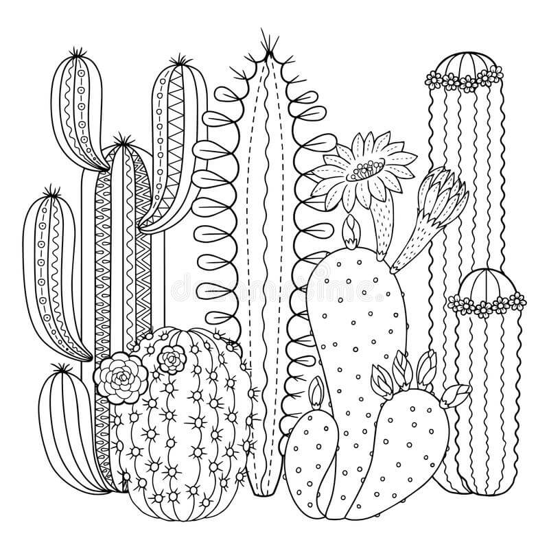 Kaktuspuutarha Värityskuva