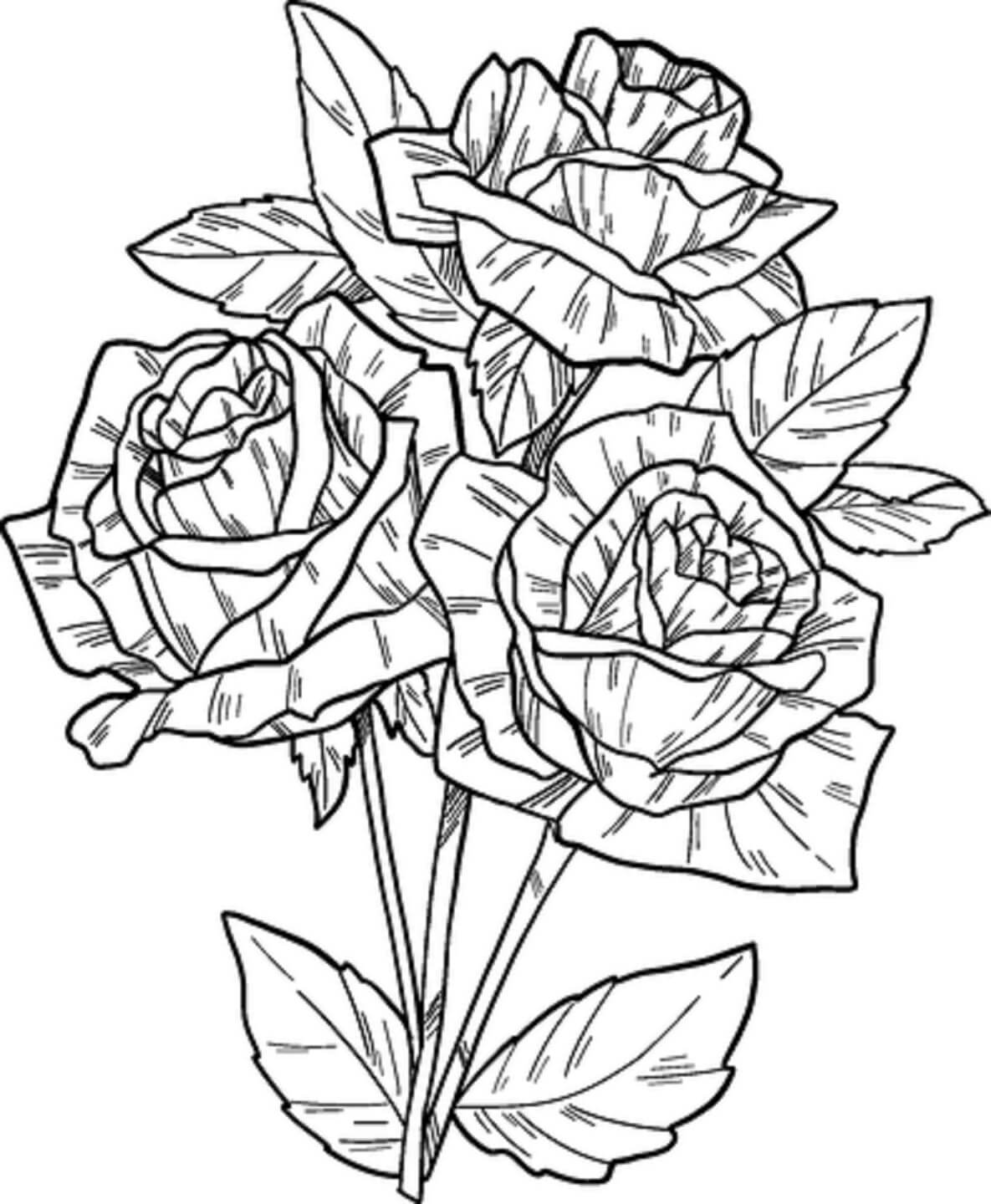 Käsin piirretty ruusu Värityskuva