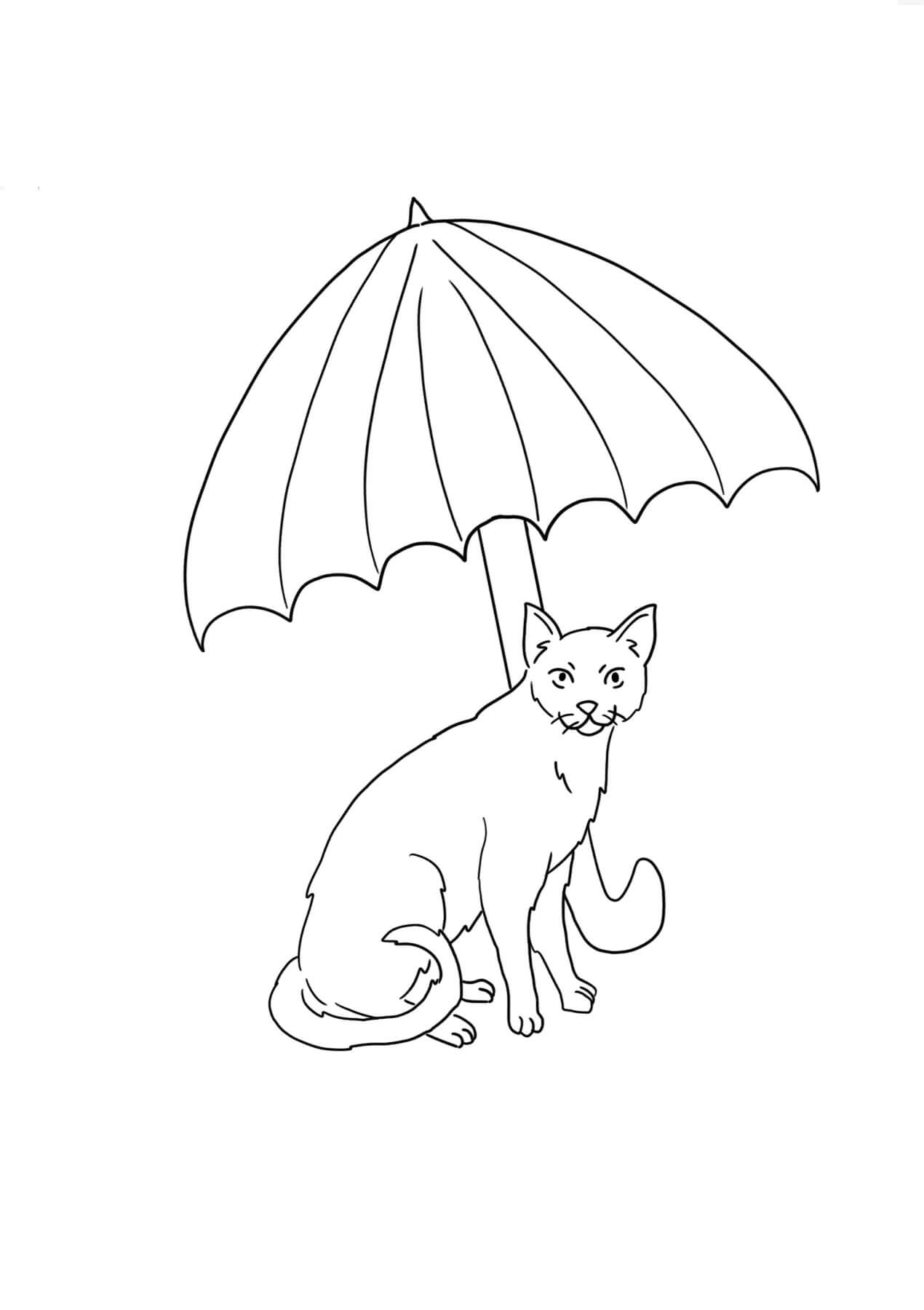 Kissa pitelee sateenvarjoa Värityskuva