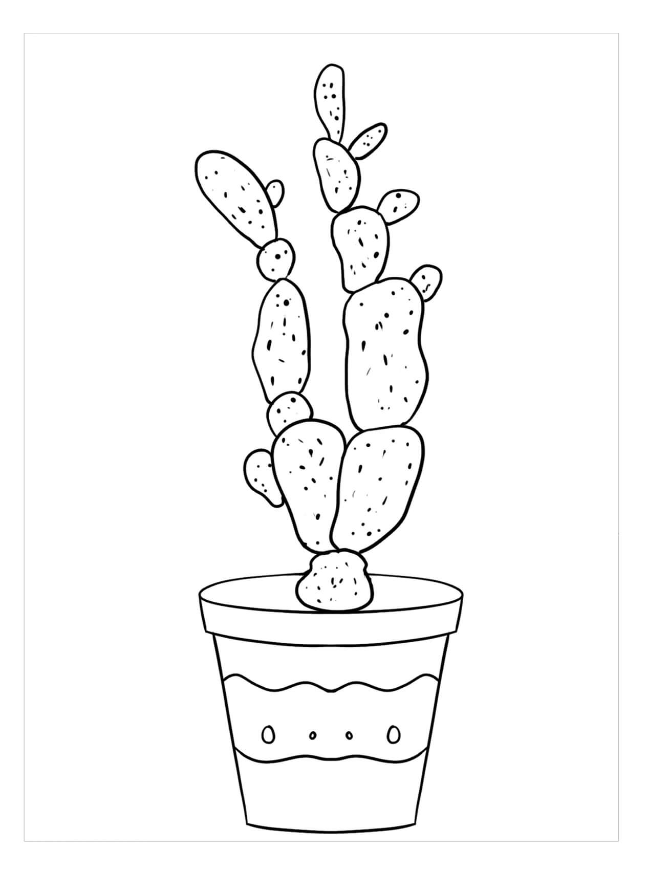 Lady Fingersin kaktus Värityskuva