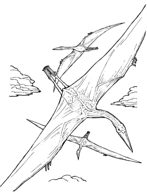 Quetzalcoatlus Värityskuva