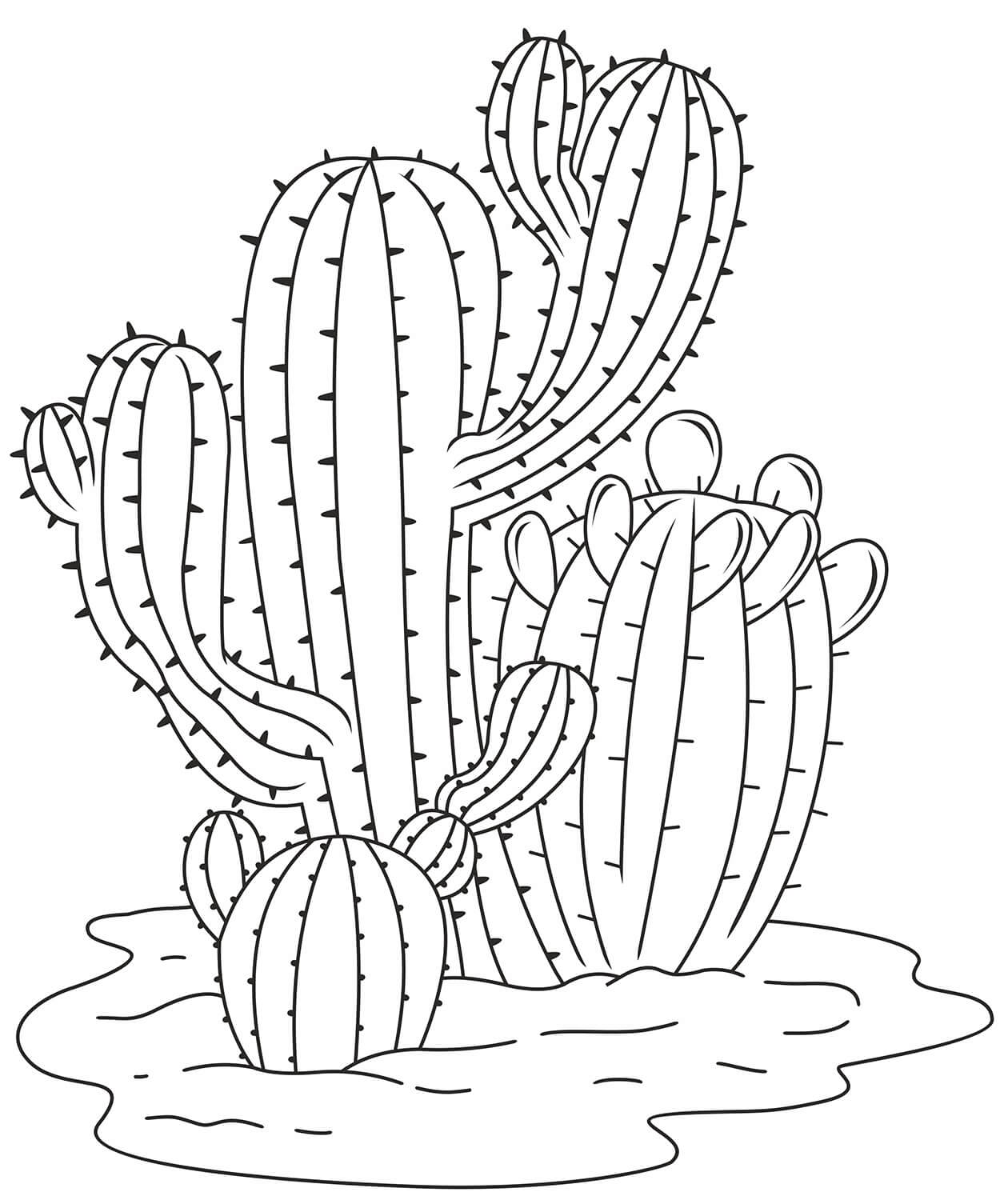 Yksinkertainen kaktus Värityskuva