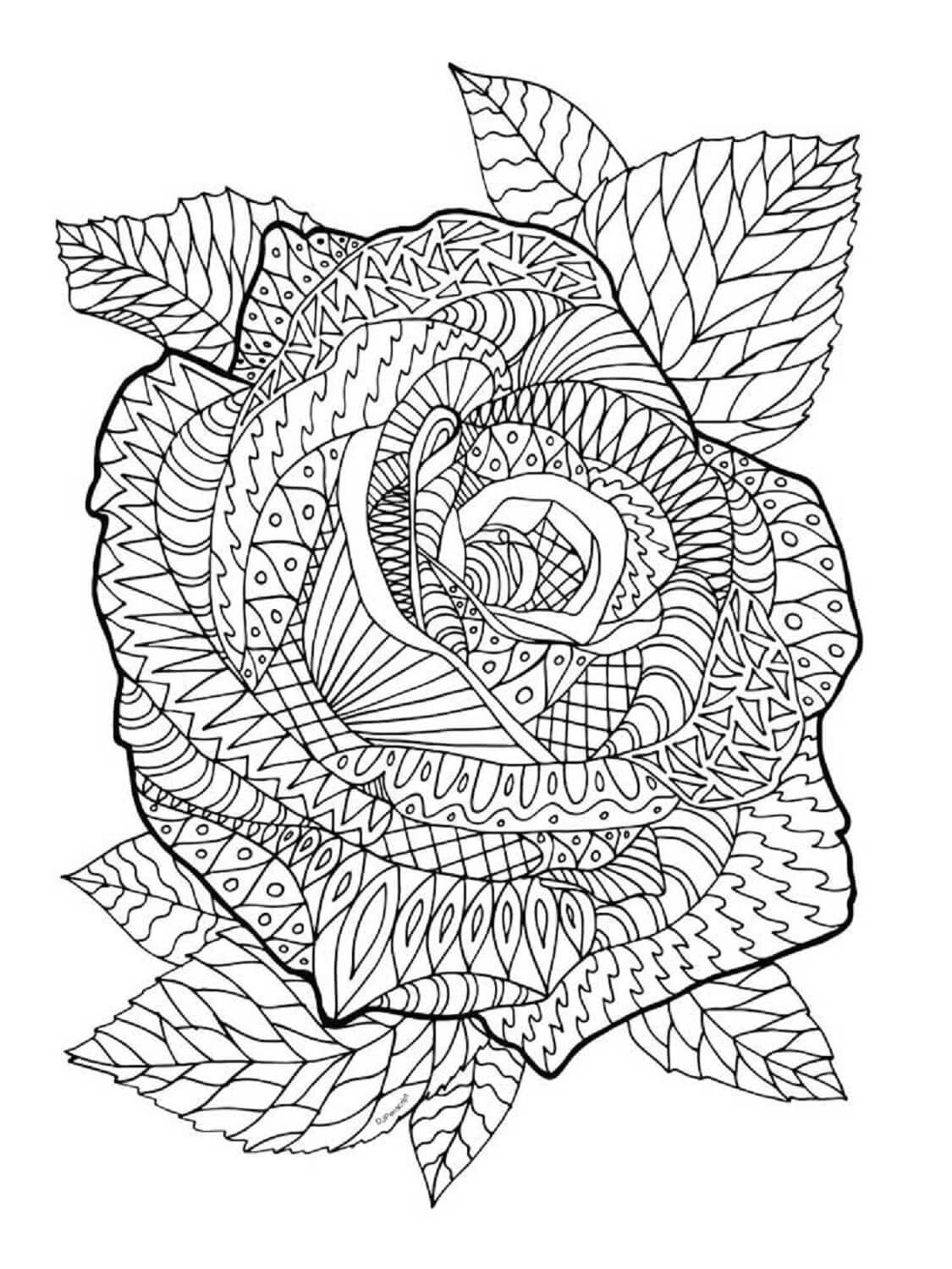 Zentangle Ruusu Värityskuva