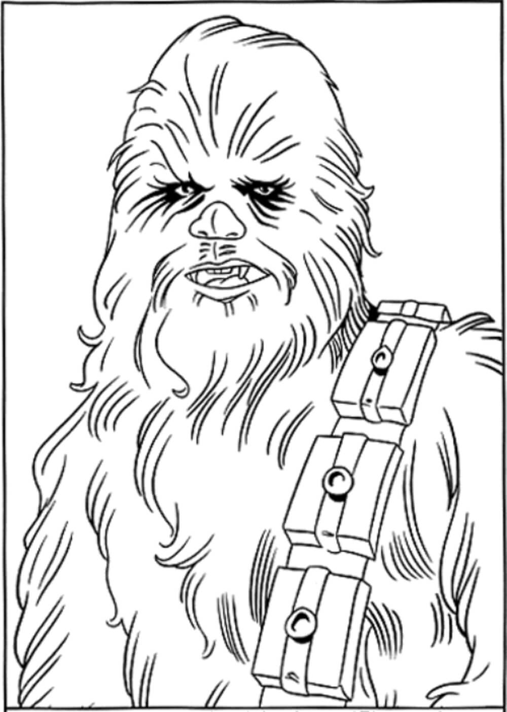 Portrait of Chewbacca Värityskuva