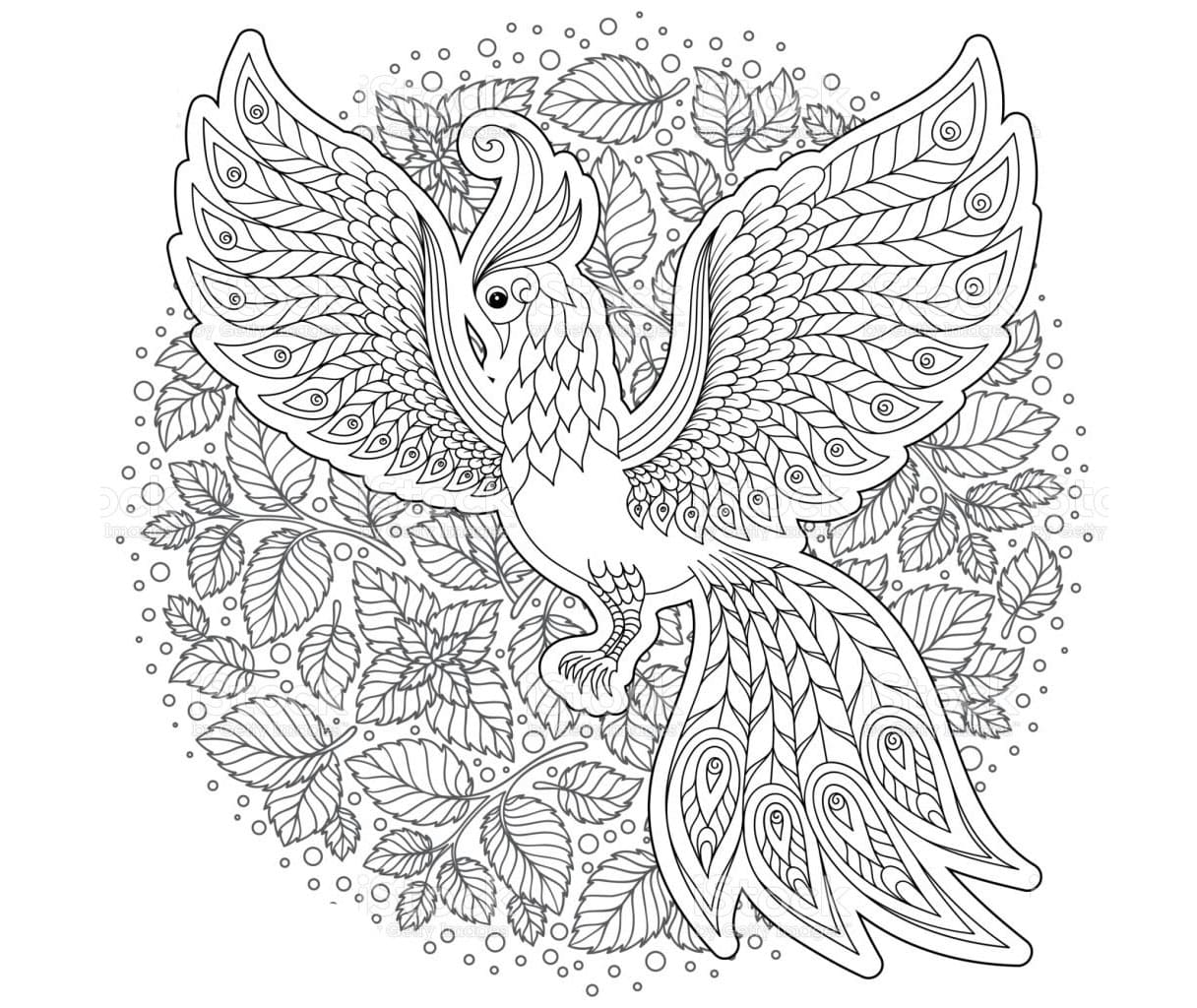 Phoenix Anti Stressi Zentangle Värityskuva