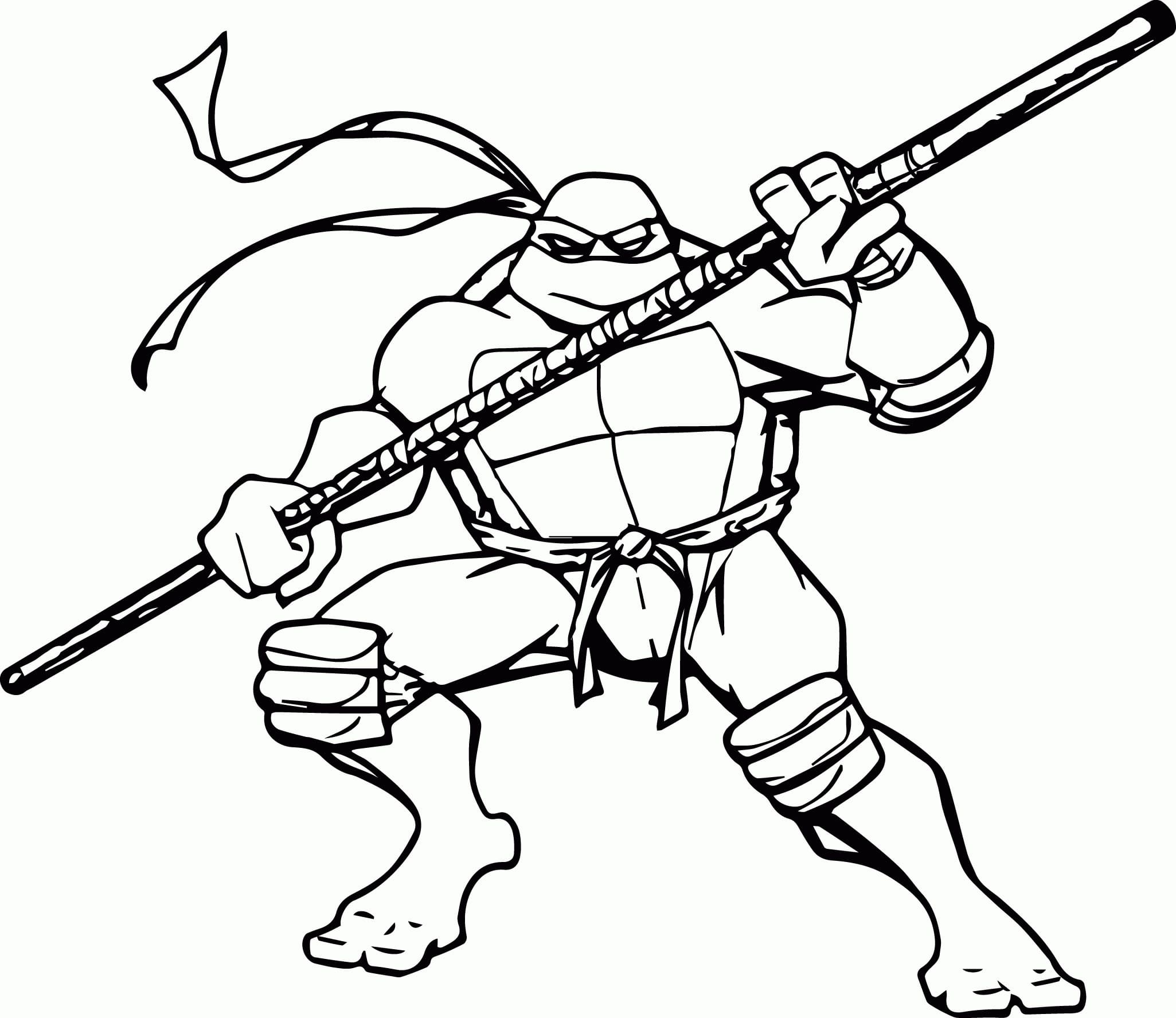 Ninja Turtle Fighting Image Värityskuva