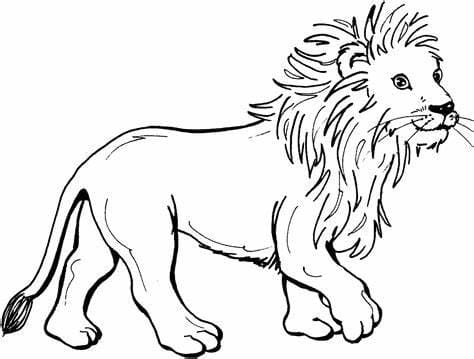 Ihana leijona Värityskuva