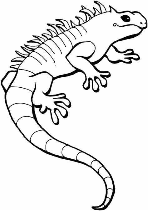 Ilmainen Lizards-kuva Värityskuva