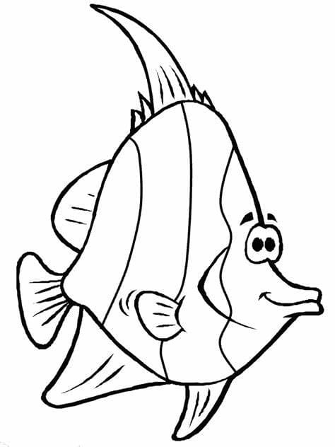 Kala kuva Värityskuva