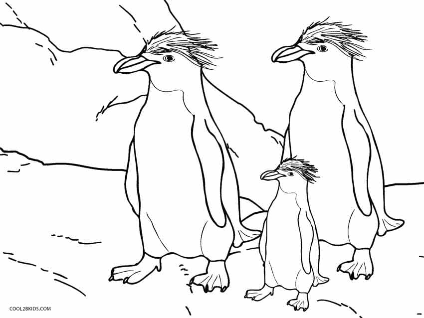 Kuva kolme pingviiniä Värityskuva