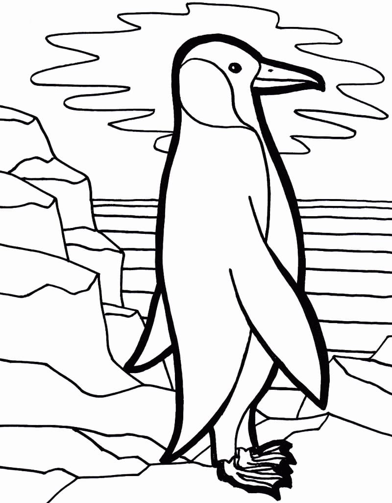 Pingviini seisomassa Värityskuva