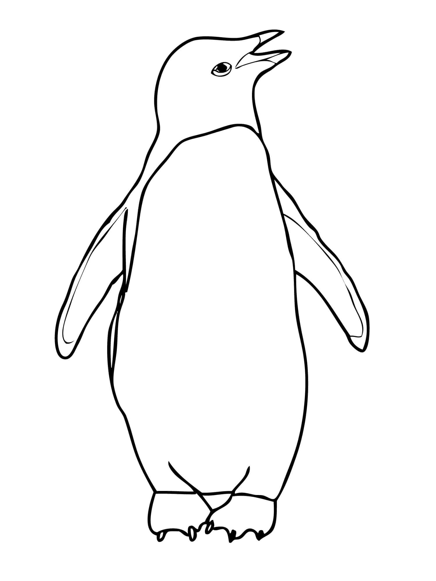 Pingviinin ääriviivat Värityskuva