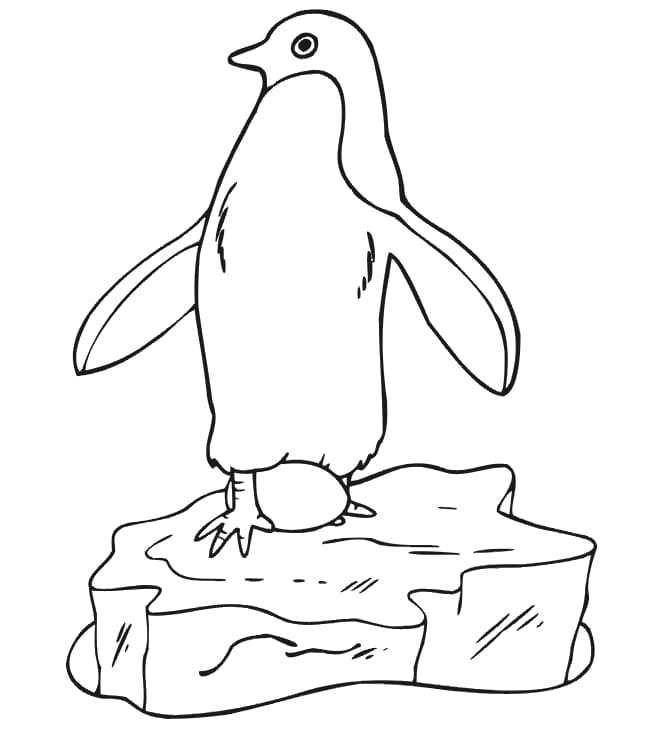 Pingviinit haudottavat munia Värityskuva
