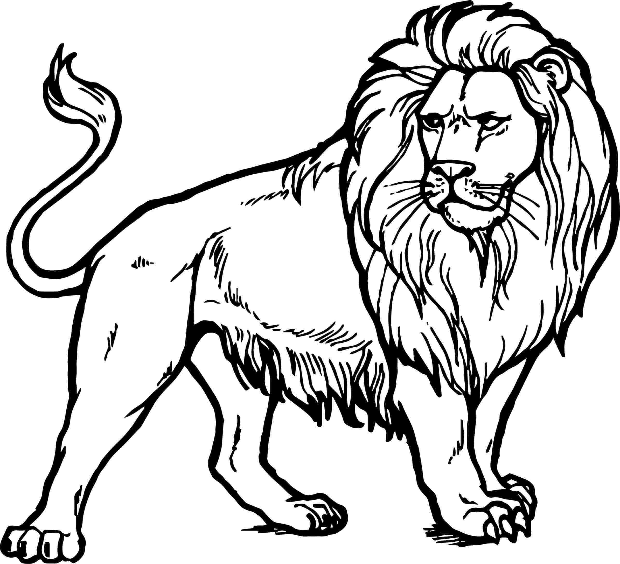 Leijona Värityskuvat