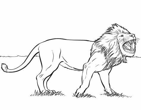 Vihainen leijona Värityskuva