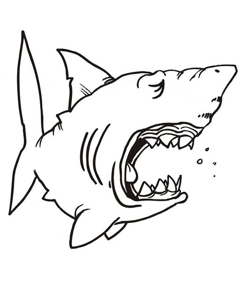 A Hungry Shark Värityskuva