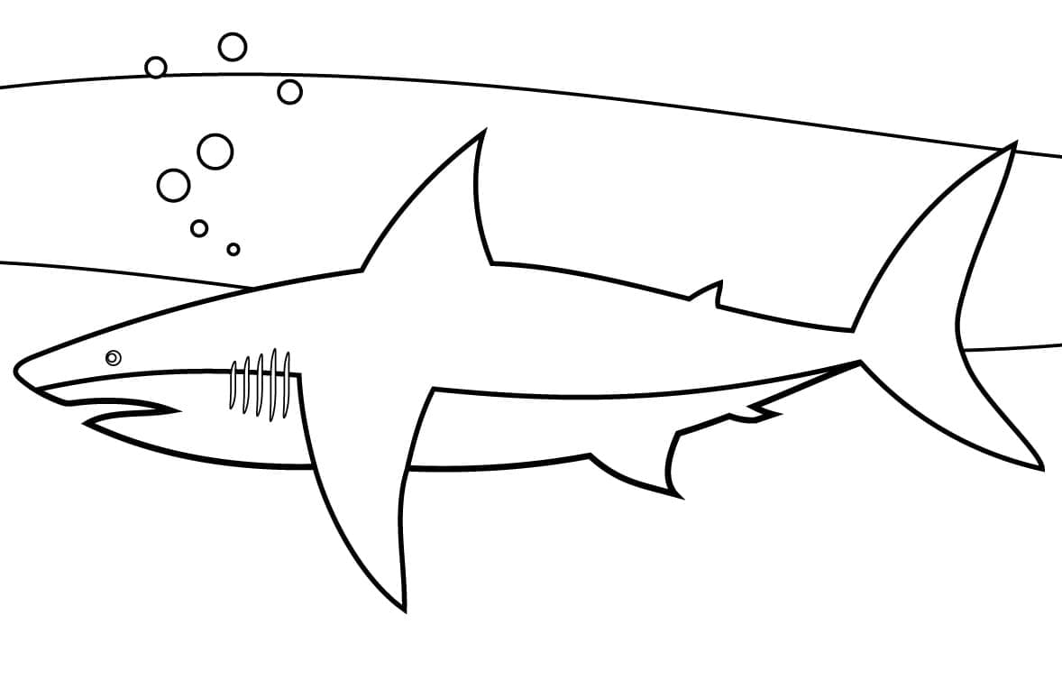 A Shark Värityskuva