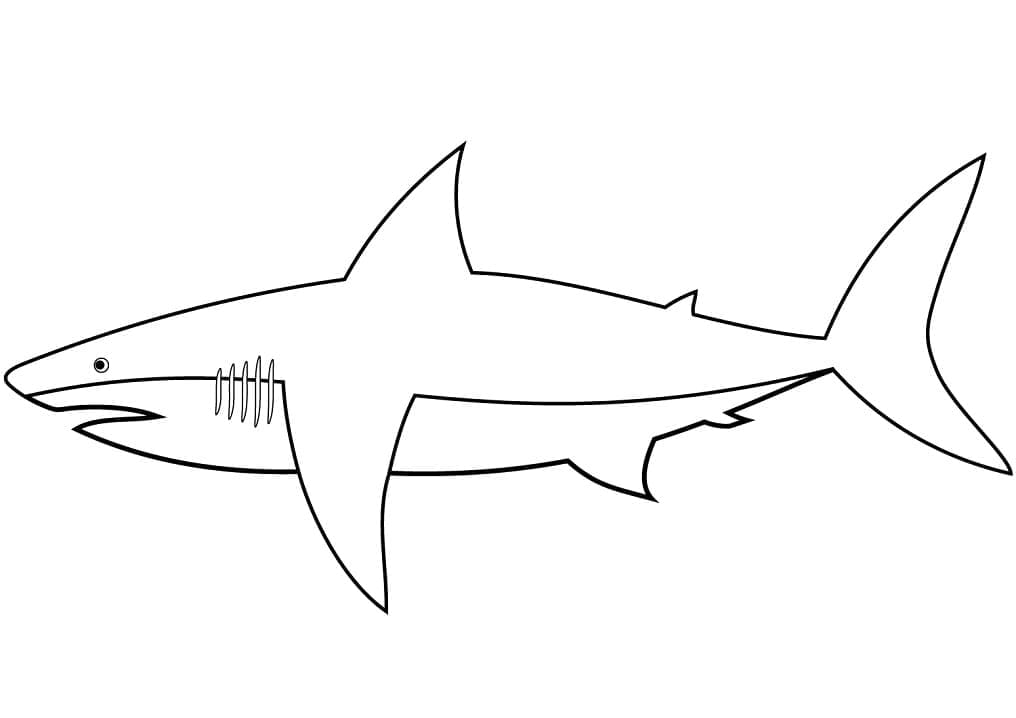Basic Shark Värityskuva