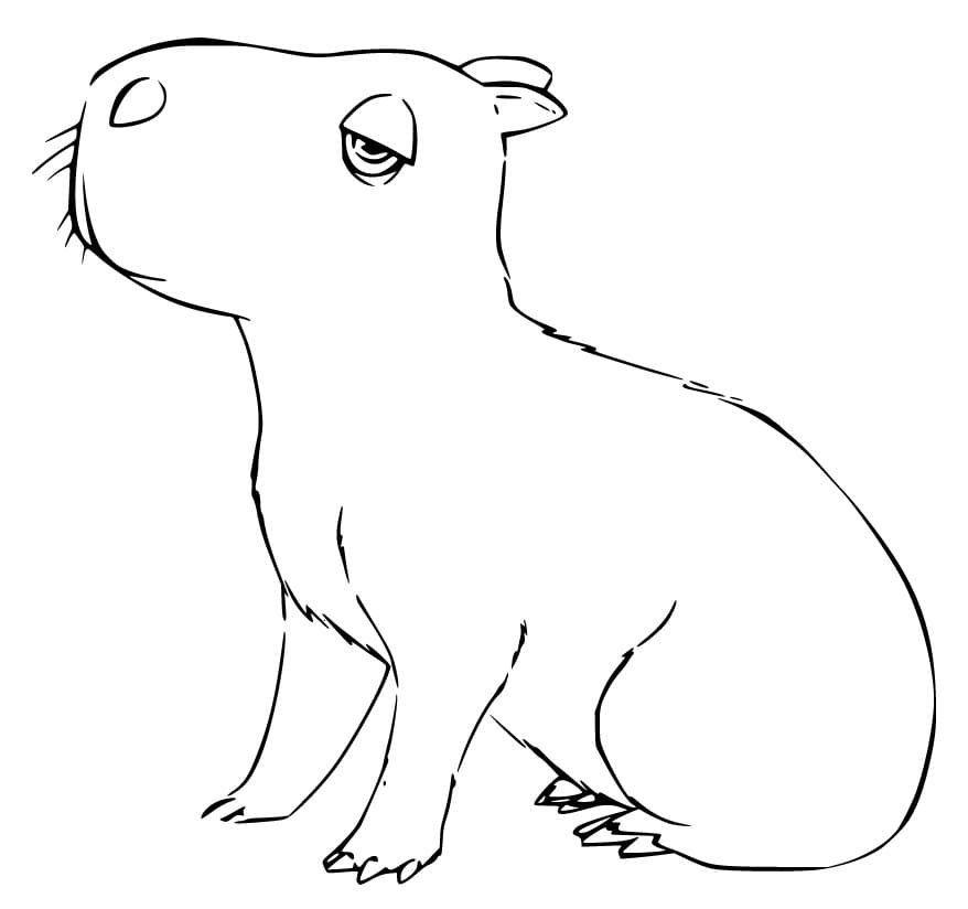capybara Encantosta Värityskuva