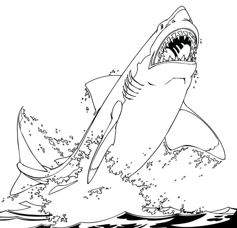 Great White Shark Värityskuva