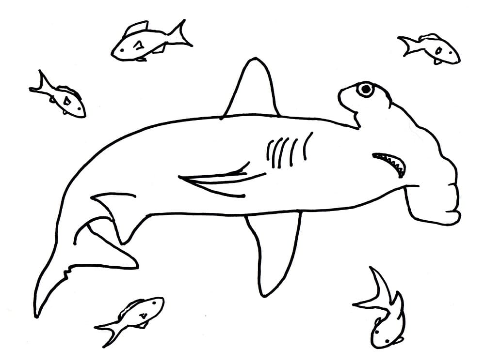 Hammerhead Shark and Fishes Värityskuva