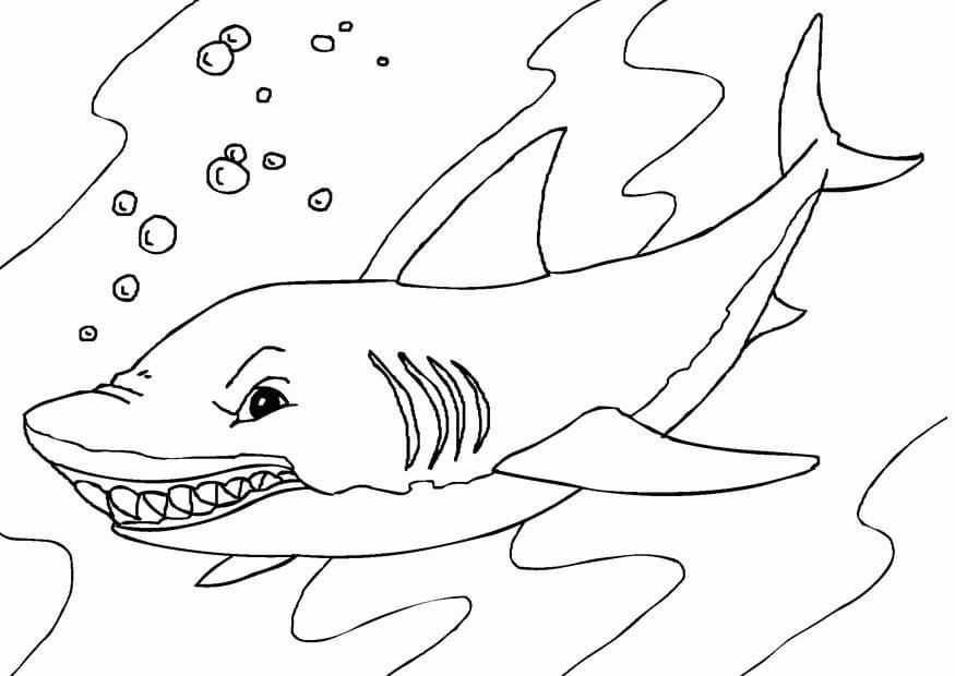 Printable Shark Värityskuva