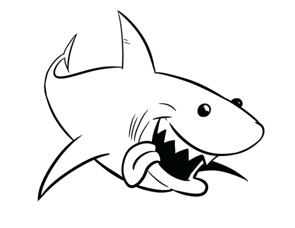 Shark is Hungry Värityskuva