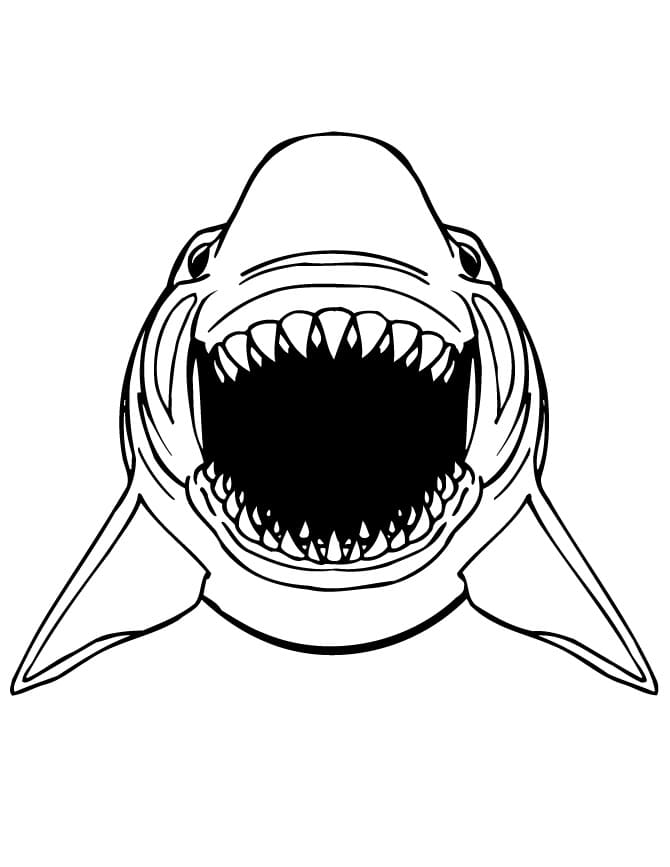 Shark Jaws Värityskuva