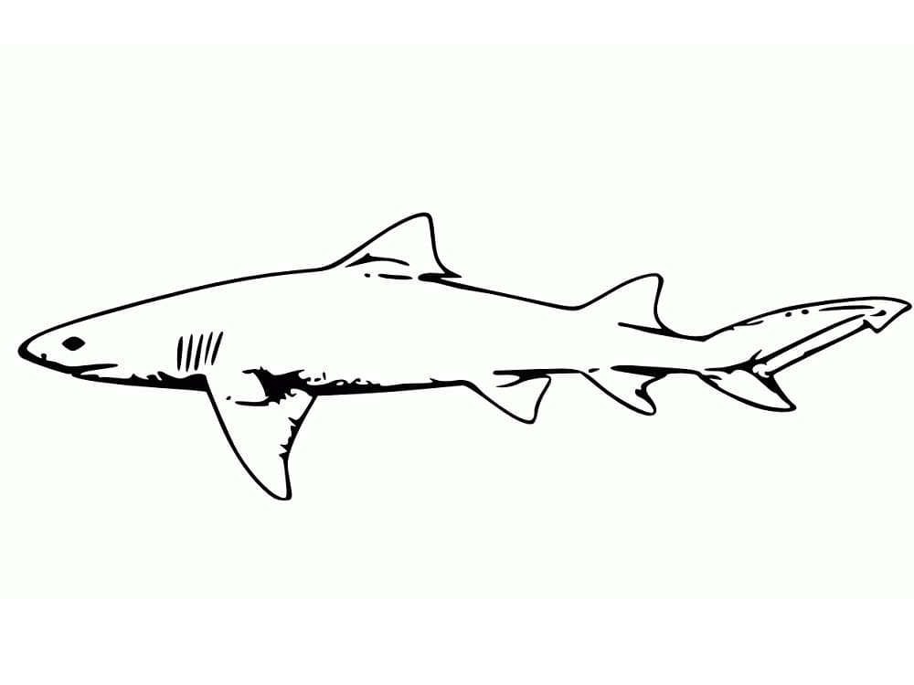 Simple Shark Värityskuva