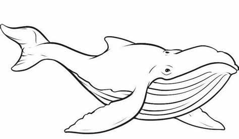 Valaiden kuva Värityskuva