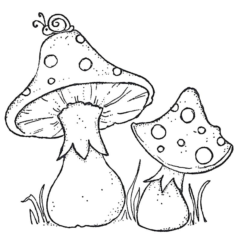 Kaksi sientä Värityskuva
