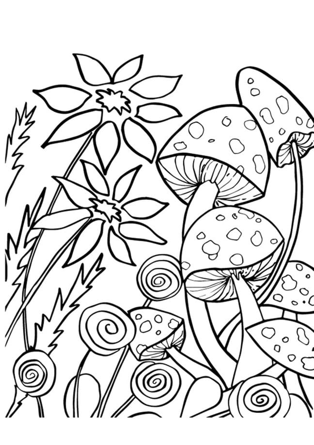 Kukat ja sienet Värityskuva