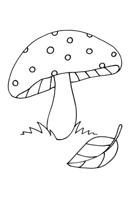 Normaali sieni Värityskuva