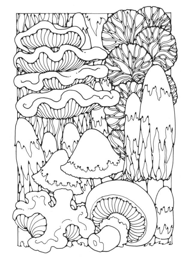 Sienet Metsä Värityskuva