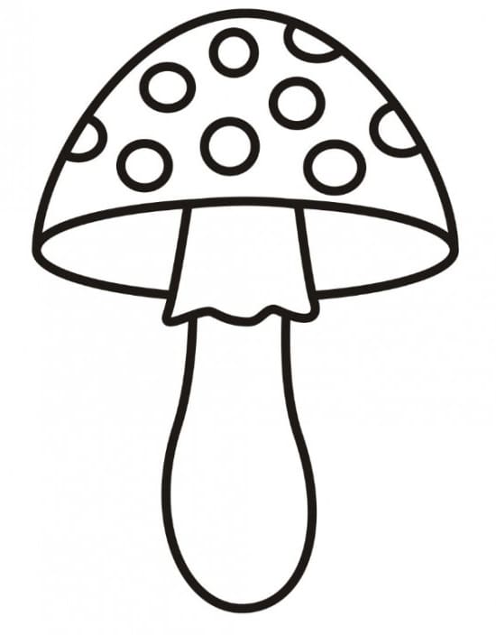 Yksinkertainen sieni Värityskuva