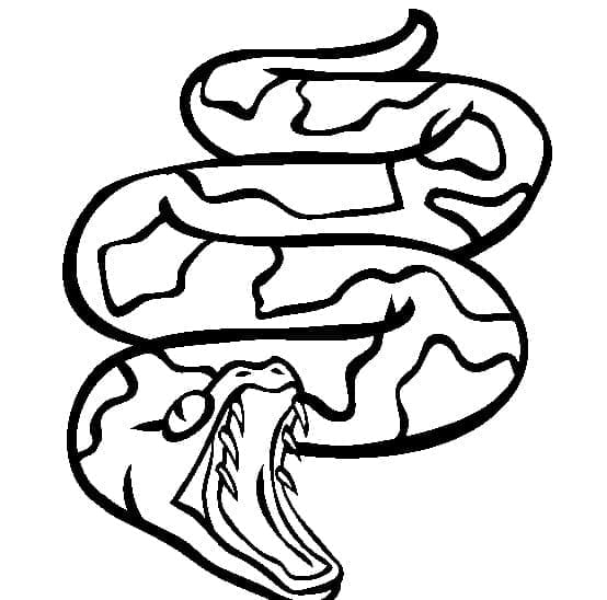 A Käärme Värityskuva