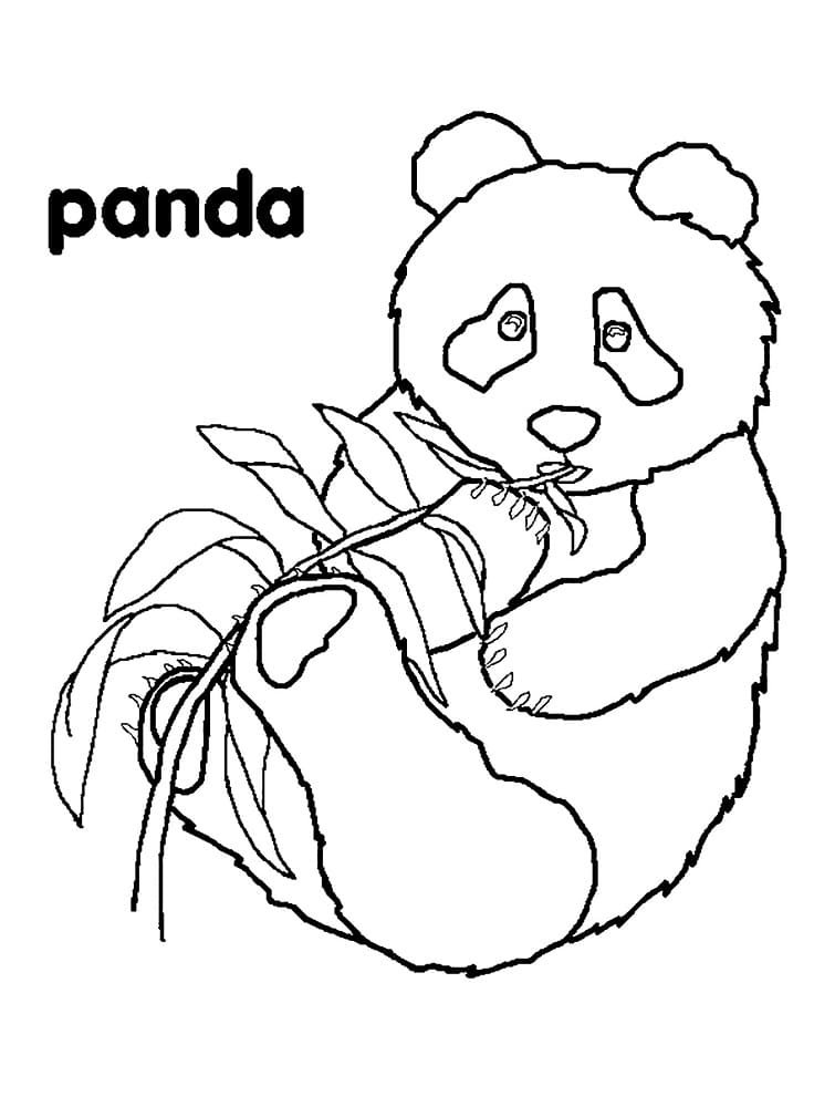 Hauska Panda Värityskuva