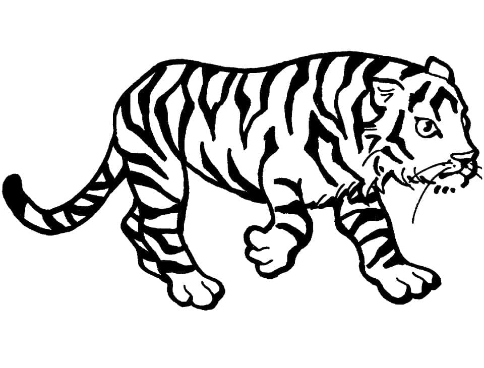 Ilmainen tulostettava tiikeri Värityskuva