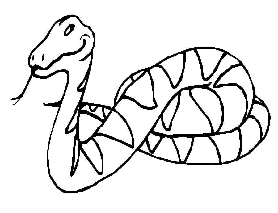 Käärme piirustus Värityskuva
